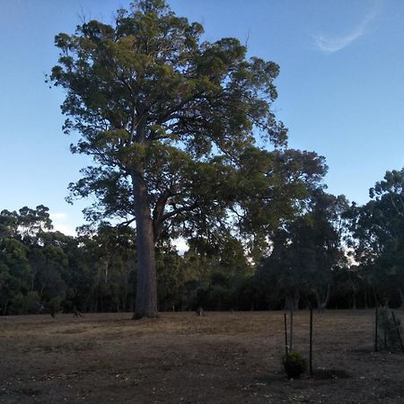 Apartamento Margaret House Margaret River Exterior foto